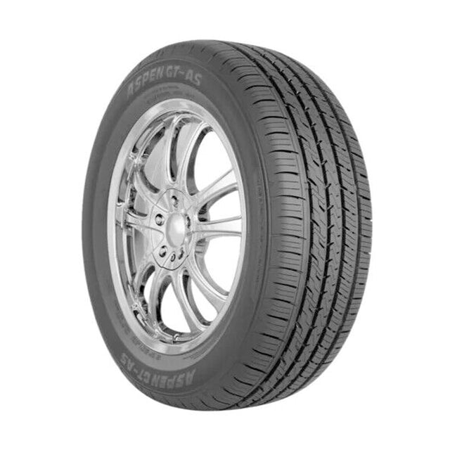 205_55R16SL91HAspenGT-AS