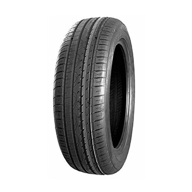225_45R17SL91WPrometerUPV