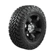 LT325_60R2010PR126_123QNittoTRAILGRAPPLERM_T